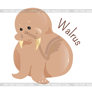 Walrus  - vector image