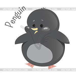 Penguin  - vector clipart