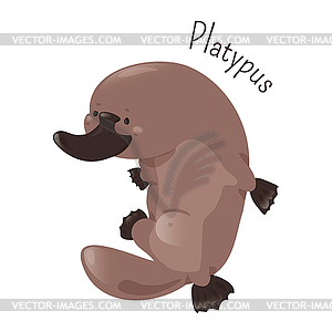 Platypus  - vector image