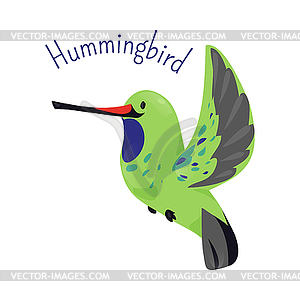 Hummingbird - vector clip art