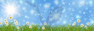 Spring and summer banner vector design template - vector clipart