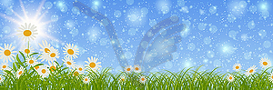 Spring and summer banner vector design template - vector image