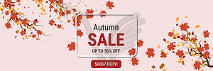 Autumn sale vector banner - color vector clipart