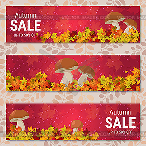 Autumn colorful leaves vector banners collection - vector image