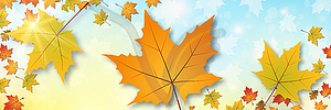 Autumn style vector banner template - vector clipart