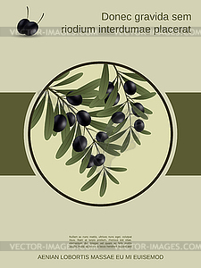 Векторная иллюстрация ветви оливкового дерева - векторное изображение