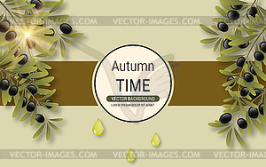 Olive tree branch vector illustration - vector image