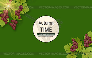 Виноградная ветка с листьями и спелыми ягодами - векторная графика