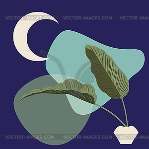 Calathea leaves with abstract shapes - vector image