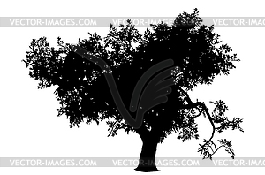 Silhouette of tree with leaves - vector image