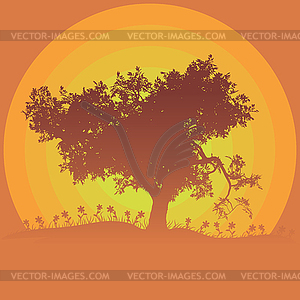 Tree silhouette at sunset - vector clipart