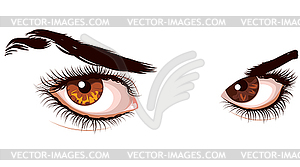 Brown eyes with long eyelashes - vector image