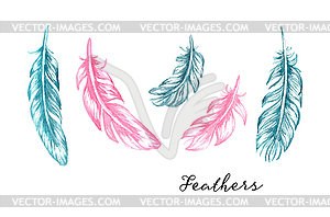 Blue and pink watercolor feathers set for your - vector clip art