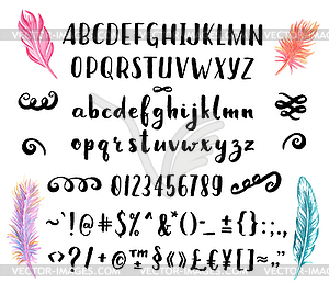 Brush stroke font with feathers - vector image