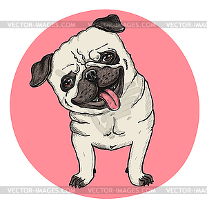Happy fashionable pug. T shirt print design - vector clipart