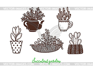 Set of different cactus and succulents in flower - vector clip art