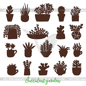 Succulents. Cacti line drawn. Flowers in desert - vector image