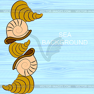 0815 6 cockleshell - vector clipart