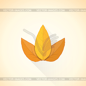 Flat threesome tobacco leaf icon - vector clipart