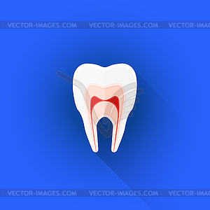 Flat structure of tooth icon - vector clipart