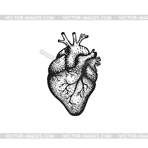 Сердце на красном фоне - клипарт в векторе / векторное изображение