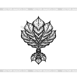 Engraving tattoo blackwork ornament - vector clipart