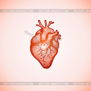 Цветное сердце - векторный рисунок