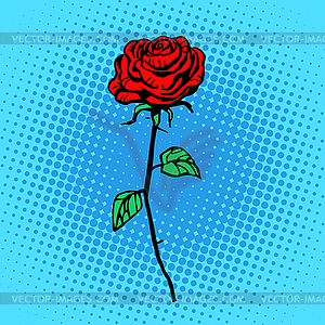 Flower red rose stem with thorns - vector clip art