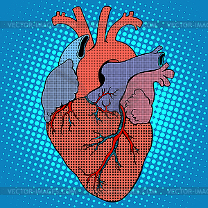 Anatomy human heart retro style - vector image