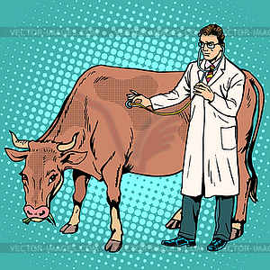 Veterinarian examines cow farm animal medicine - color vector clipart