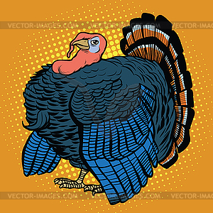 Poultry Turkey, realistic - vector image