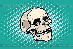 Human skull head skeleton - vector clip art