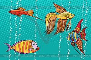 Set collection of aquarium fish - vector clipart