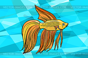 Cockerel aquarium fish - vector clipart