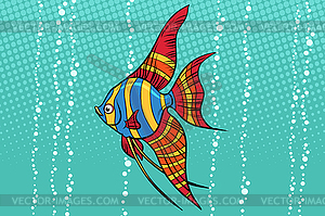 Freshwater angelfish aquarium fish - vector image