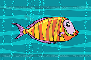 Cichlid aquarium fish - vector clipart
