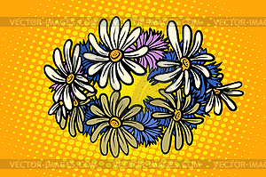 Wreath of wild flowers chamomile - vector image