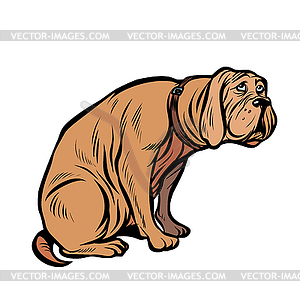 Guilty dog, funny pet - vector image