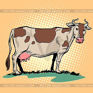 Молочная корова с выменем. Ферма животных - векторный клипарт
