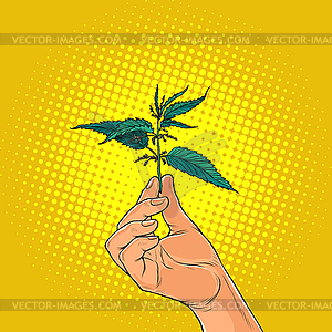 Nettle, green burning plant in hands - vector clipart