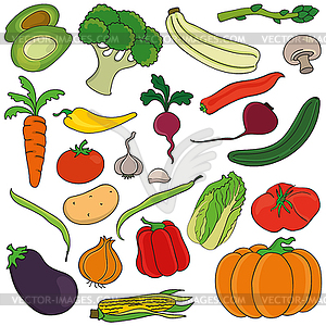 Набор овощей - изображение в векторном формате