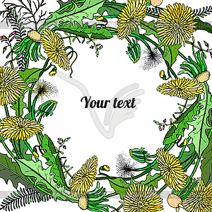 Dandelions background - vector clip art