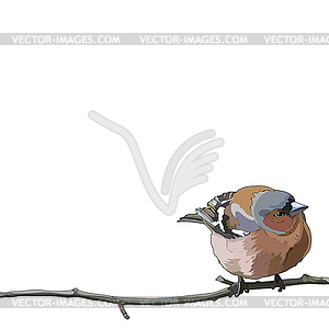 Card with bullfinch on branch - vector clipart