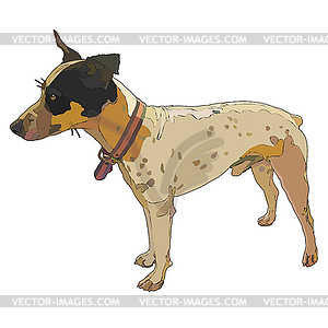 Russell jack - vector image