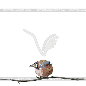 Card with bullfinch on branch - stock vector clipart