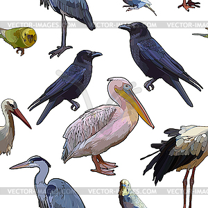 Фон с птицами - изображение в векторном формате