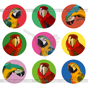 Stickers with Ara parrots - vector image