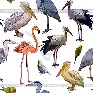 Фон с тропическими птицами - изображение в формате EPS