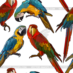 Seamless background with Ara parrots - vector clip art