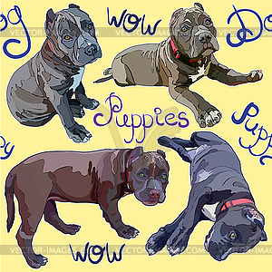 Seamless background with pitbulls - vector image